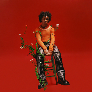 家庭摄像头夫妻当着孩子
