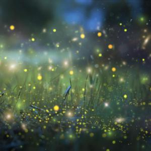 家庭摄像头夫妻当着孩子
